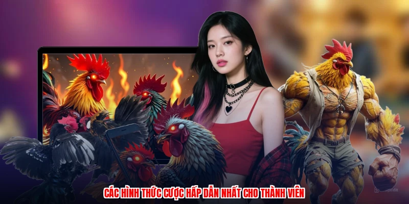 Các hình thức cược hấp dẫn nhất cho thành viên
