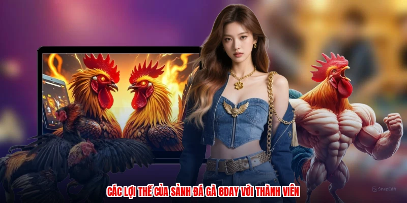 Các lợi thế của sảnh đá gà 8DAY với thành viên