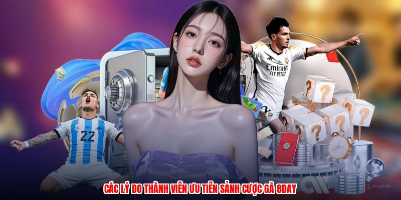 Các lý do thành viên ưu tiên sảnh cược gà 8DAY