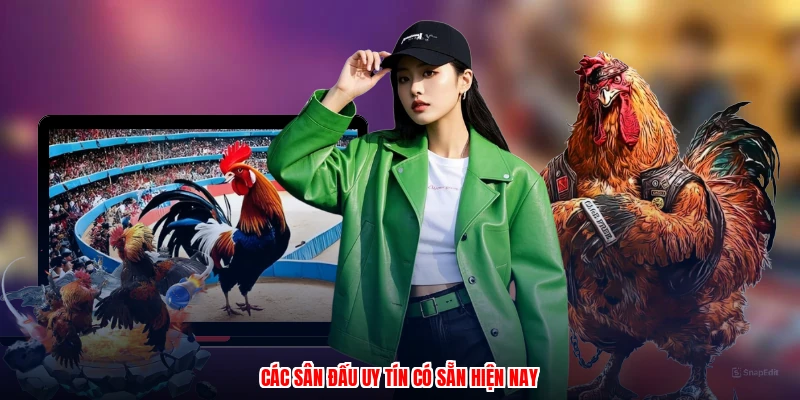 Các sân đấu uy tín có sẵn hiện nay