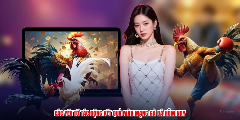 Các yếu tố tác động kết quả màu mạng gà đá hôm nay