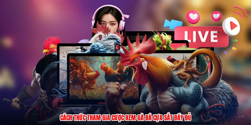 Cách thức tham gia cược xem gà đá cựa sắt đầy đủ
