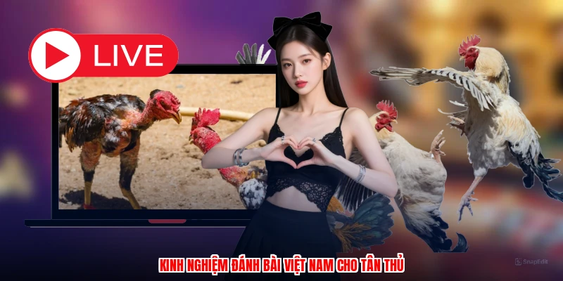 Kinh nghiệm đánh bài Việt Nam cho tân thủ