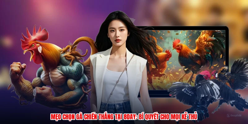 Mẹo Chọn Gà Chiến Thắng Tại 8DAY: Bí Quyết Cho Mọi Kê Thủ