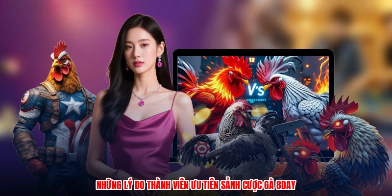 Những lý do thành viên ưu tiên sảnh cược gà 8DAY