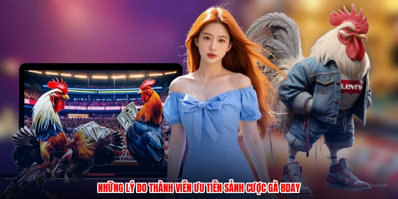 Những lý do thành viên ưu tiên sảnh cược gà 8DAY