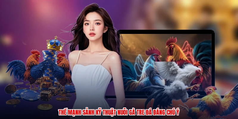 Thế mạnh sảnh kỹ thuật nuôi gà tre đá đáng chú ý